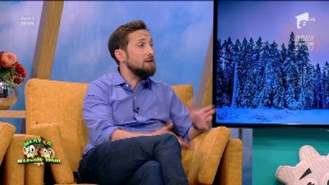 Andreea D feat. Veo - Get freaky