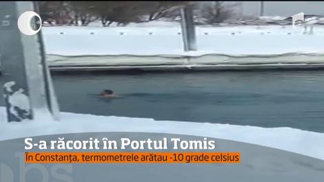Omul Zăpezilor trăieşte la Constanţa! Asta le-a trecut prin minte mai multor oameni care au văzut un bărbat ce înota în Portul Tomis