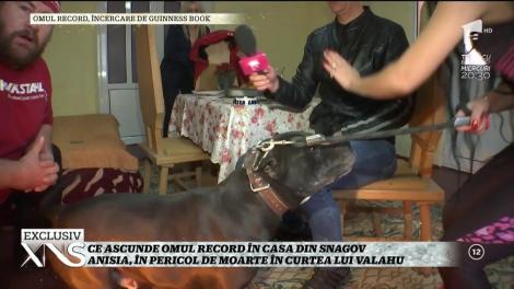 Anisia, în pericol de moarte în curtea lui Valahu! Ce ascunde omul record în casa din Snagov