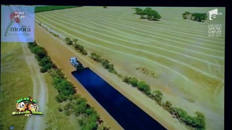 Smiley News: Asfaltarea drumurilor în Australia. În România cât ar fi durat?