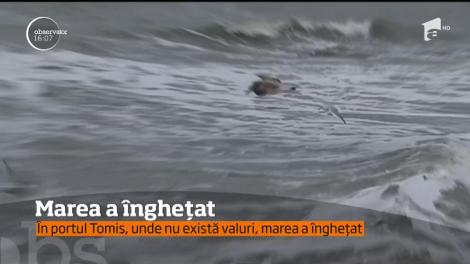 În portul Tomis, unde nu există valuri, marea a înghețat