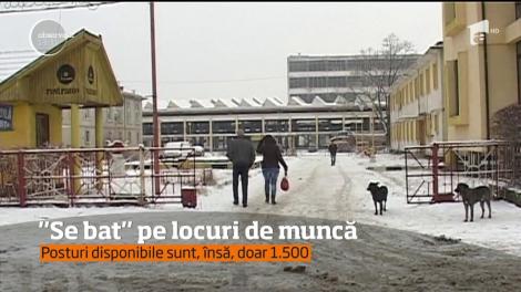 6.000 de CV-uri au fost depuse la o fabrică ce urmează să se deschidă în Târgu Jiu