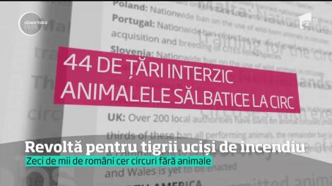 20 mii de români vor circuri fără animale și o lege clară care să interzică exploatarea speciilor sălbatice în arenă