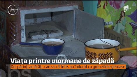 Viața printre mormane de zăpadă