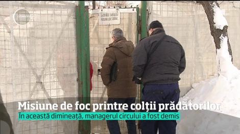 Managerul Circului Globus a fost demis! Petiţia "Punem capăt exploatării animalelor sălbatice în circuri" a strâns în 24 de ore aproape 40 de mii de semnături!