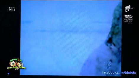 Smiley News: Dorel, spaima jurnaliştilor în sezonul rece! Noi râdem cu lacrimi, el sigur a plâns: Reporter la microfon, în timpul deszăpezirii