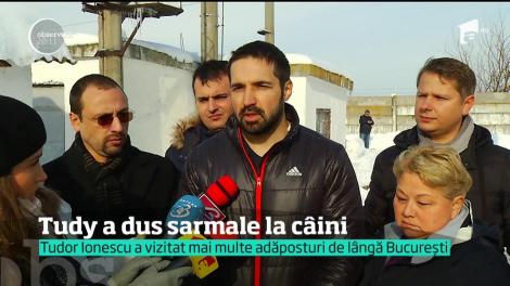 Tudy, fostul iubit al Oanei Zăvoranu, a împărţit sarmale câinilor fără stăpân din adăpostul din Bragadiru