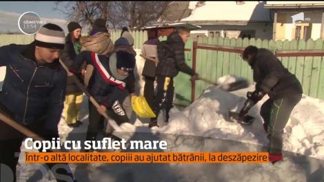Copiii din județul Bacău au slavat zeci de căței care stăteau în ger