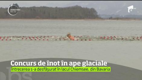 Concurs de înot în ape aproape îngheţate