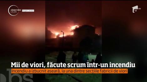 Mii de viori, de la celebra fabrică din Reghin, au fost făcute scrum într-un incendiu