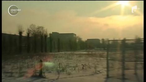 Avertisment meteo! Cod galben de viscol în trei județe din țară