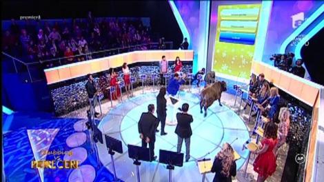 Runda 2: Dacă mergeţi la măcelărie ce trebuie să cereţi că să primiţi o bucată de carne de aici?