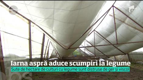 Iarna aspră aduce scumpiri la legume