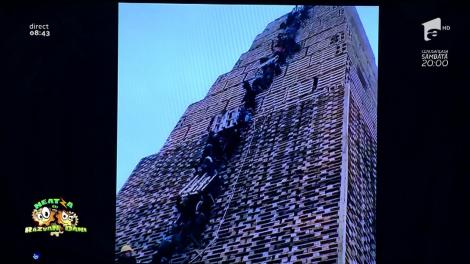 Smiley News: Piramida din paleți de lemn construită pentru șeful megaloman