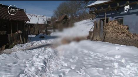 Ursul, specie protejată de lege. Pe multe site-uri apar anunțuri de organizare a unor partide de vânătoare