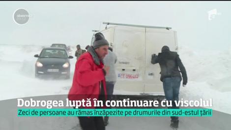 Dobrogea luptă în continuare cu viscolul
