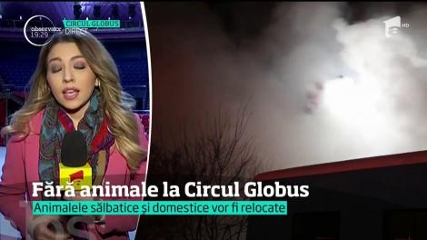 Fără animale la Circul Globus