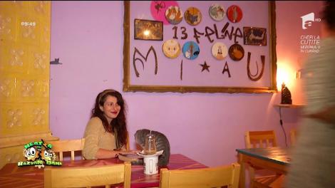 Cafenea cu pisici, acum şi în București!