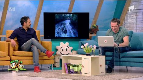 Smiley News: Cum să faci surfing prin pădure