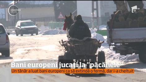 Bani europeni jucați la "păcănele". Un tânăr a luat bani europeni ca să extindă o fermă, dar i-a cheltuit