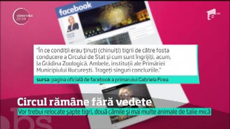 Primăria Generală lucrează la un proiect care interzice spectacolele cu animale