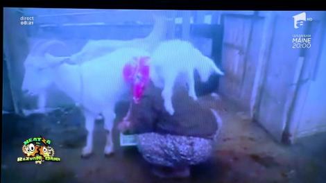 Smiley News: Iedul cel poznaş