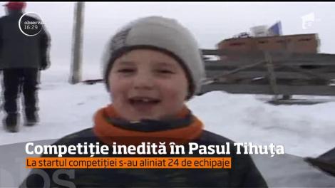 Premieră în România! S-a desfăşurat cea dintâi competiţie de atelaje trase de câini