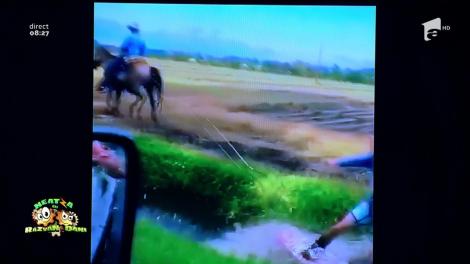 Smiley news: S-a dat cu placa pe canalul de irigaţie tras de cal!