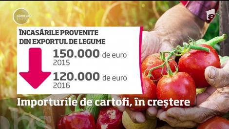 Romania se află pe locul patru în Europa la consumul de cartofi