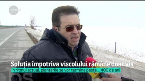 Perdelele forestiere, soluţia care ne-ar ţine drumurile deschise chiar şi pe viscol de cod portocaliu, sunt greu de implementat