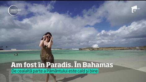 Vacanţă în Bahamas. Raiul vieţuitoarelor marine
