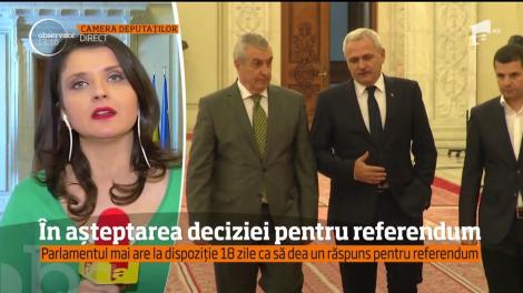 Se va decide data în care plenul votează solicitarea președintelui