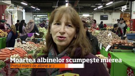 Moartea albinelor scumpește mierea. Apicultorii au si cu 30% mai puține albine în stupi