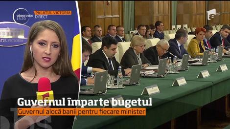 Guvernul împarte bugetul. Vor aloca banii pentru fiecare minister
