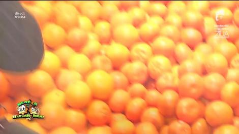 Putem să mâncâm o zi întreagă numai cu zece lei?