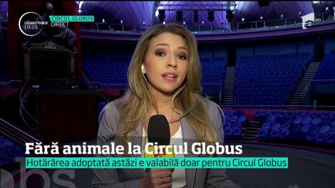 Este oficial. Circul Globus rămâne fără animale