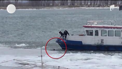 Operaţiune de salvare printre sloiurile Dunării, în portul Galaţi