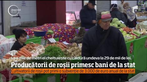 Cultivatorii de roșii pot primi o subvenție de 3.000 euro anual de la stat
