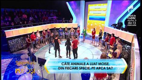 Întrebarea din sac: Câte animale a luat Moise pe arca sa, din fiecare specie?