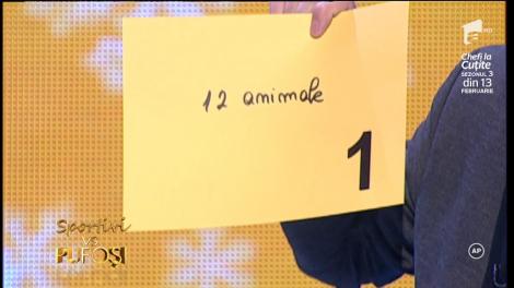 Runda 2: Ce meserie are un conducător de tramvai în Bucureşti?