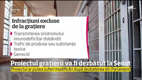 Proiectul grațierii va fi dezbătut la Senat