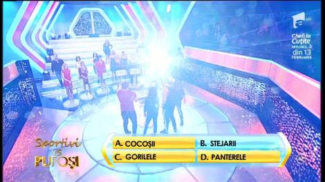 Rândul 6: Cum sunt supranumiţi rugbiştii de la naţionala României?