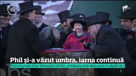Ce staţii meteo de ultima generaţie?! Nu, americanii au o altă metodă de a afla când vine primăvara. Doamnelor şi domnilor, faceţi cunoştinţă cu PHIL, cârtiţa care spune cum va fi vremea