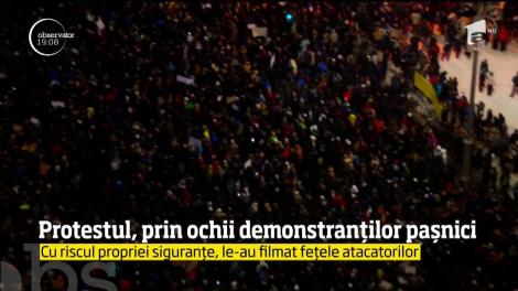 Protestul din Piața Victoriei, prin ochii demonstranților pașnici