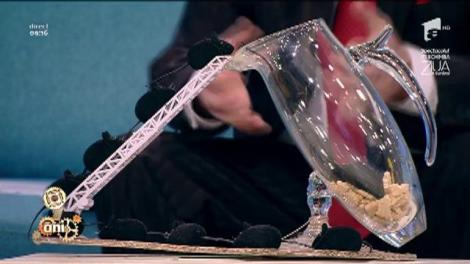 Capcana ecologică pentru şoareci