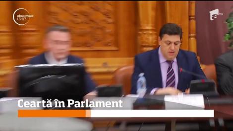 Senatorii PSD şi PNL, Nicolae Şerban şi Alina Gorghiu, s-au certat în Parlament