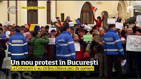 Un nou protest în București. Câteva zeci de oameni s-au strâns la Palatul Cotroceni pentru a susține PSD