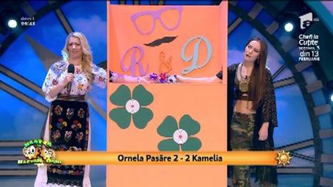 Provocarea "Cutia cu maimuţe": Ornela Pasăre vs. Kamelia
