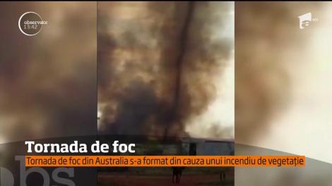 O tornada de foc din Australia s-a format din cauza unui incendiu de vegetație