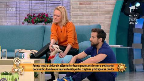 Mielul Ion, în platoul de la Neatza. Animalele abandonate pot fi adoptate ca animale de companie